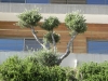 dscn7379